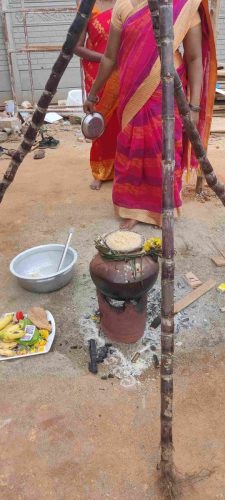 Pongal Celebiration